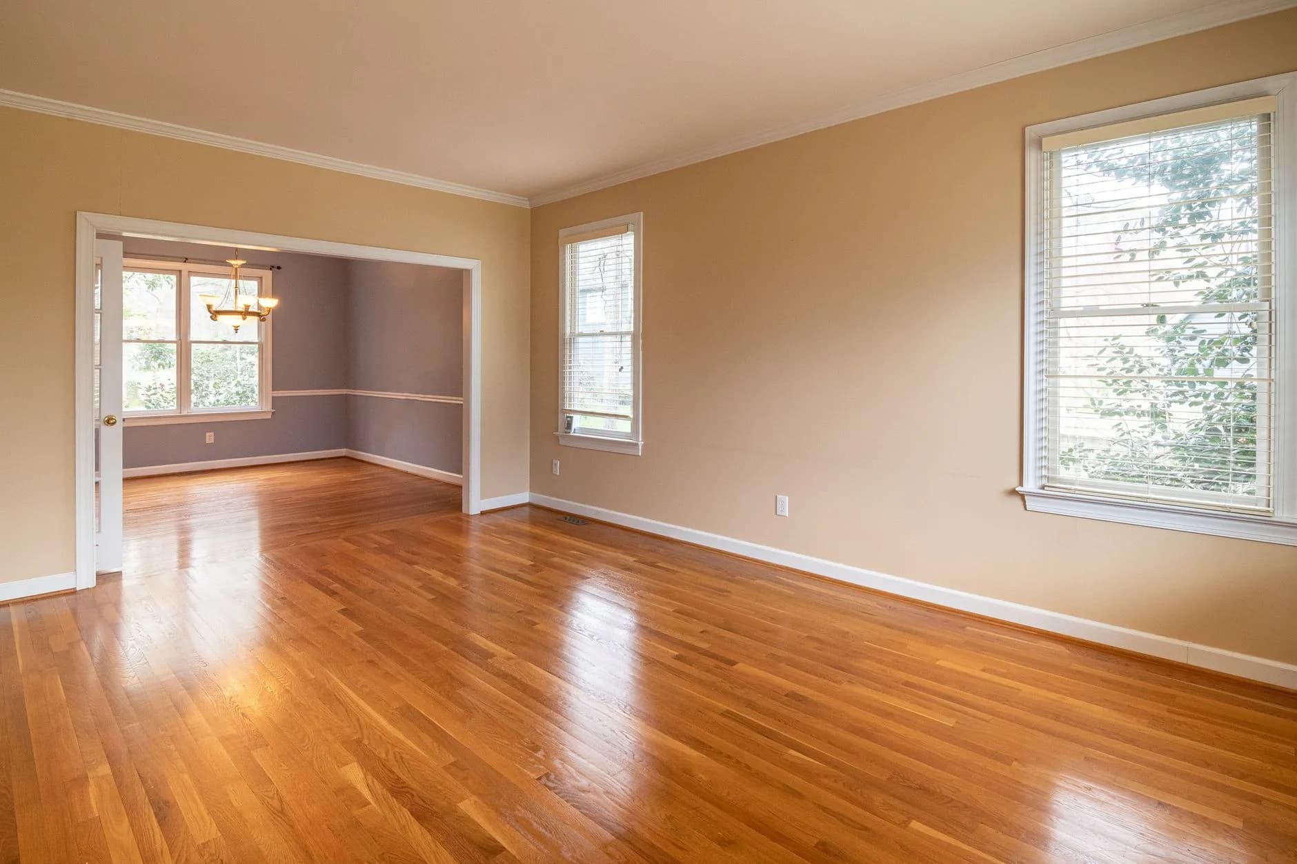 Empty sunlit room, ready for handover